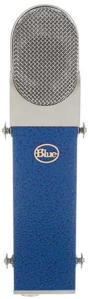 Blue Blueberry