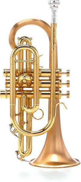 Carol Brass CCR-3880-GSS-Bb-SLB