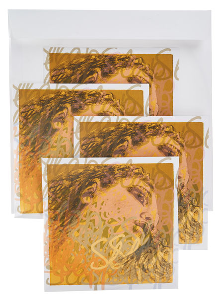 Pirastro Evah Pirazzi Slap Strings Set