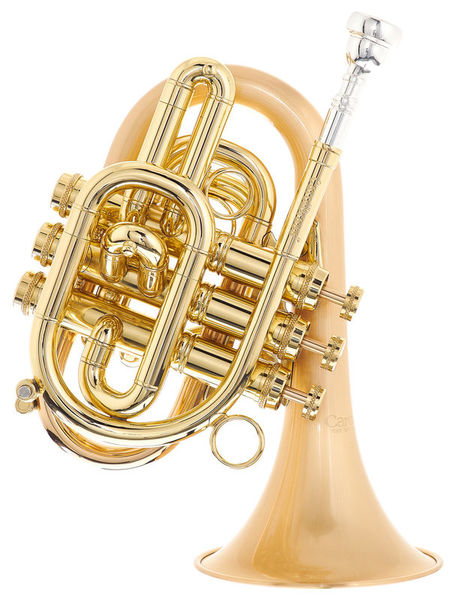Carol Brass CPT-7000-GLS-Bb-SLB