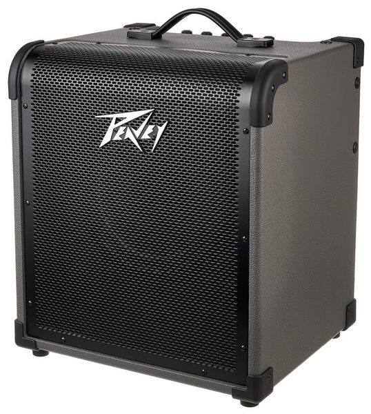 Peavey Max 100