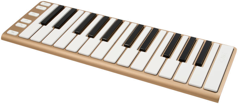 CME Xkey 25 gold