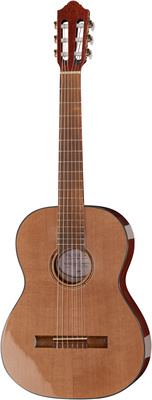 Gewa Pro Natura Bronze Teleri