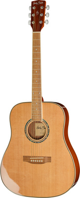Harley Benton D-120NT