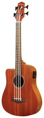 Gold Tone Micro Bass 23 w/Bag LH