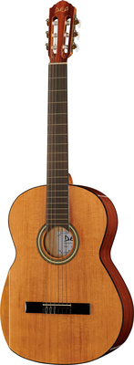 DEA Guitars Student Cedar 4/4 HG