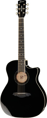Framus FG 14 S Grand Auditorium LS