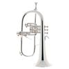 Bach 183S Flugelhorn