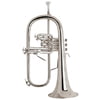 Bach 183G S Flugelhorn