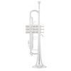 Bach LR 180S-37 R ML Trumpet