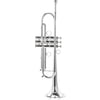 Carol Brass CTR-4000H-YSS-Bb-S
