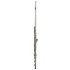 Azumi AZ-Z3RBE Flute