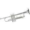 Carol Brass CTR-5060H-GSS-Bb-S