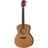 Baton Rouge AR21C/A