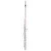 Pearl Flutes PF-665 RE Quantz Flute 2020