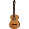 Godin Concert Left QIT