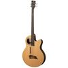 Warwick Alien Deluxe Hybrid 4 FL NT