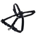 BG S42SH Strap Children