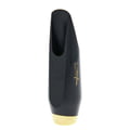 Selmer Alto Sax Claude Delangle