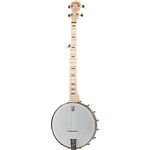 Deering Goodtime Banjo