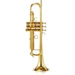 Adams A5 Brass 045 Selected B-Stock