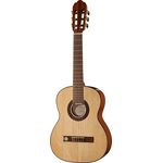 Gewa Pro Arte GC50A B-Stock