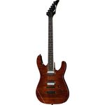Dean Guitars Modern Select Flame top TGE
