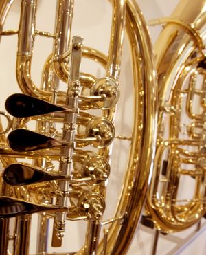 Tenor- und Baritonhörner