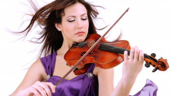 Violas Violas