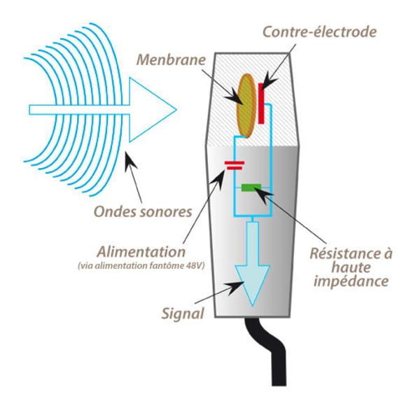 Thomann Guides en ligne Types de microphones Microphones de chant pour