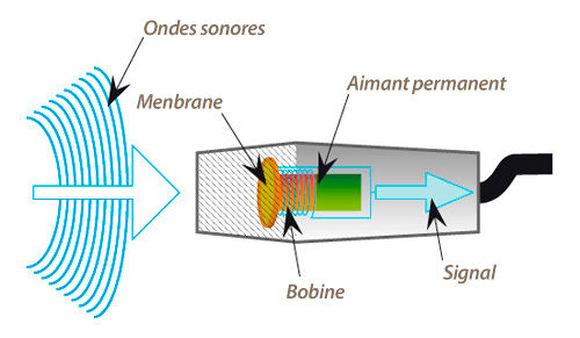 Thomann Guides en ligne Types de microphones Microphones de chant pour ...