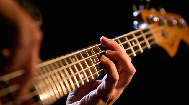 Bass Guitars